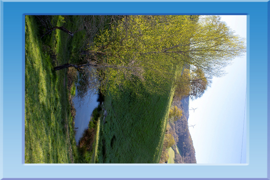 r7817_9_saint-andre_03-2.jpg