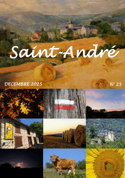 bulletin municipal 2025