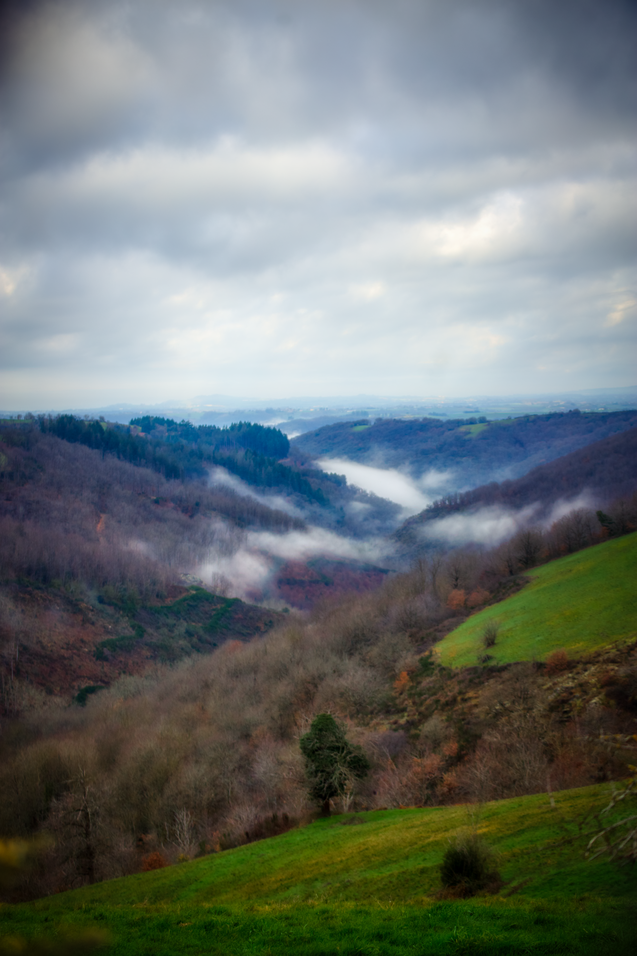 r8486_9_img_8951_route_du_bouscaillou_st_andre-2.png