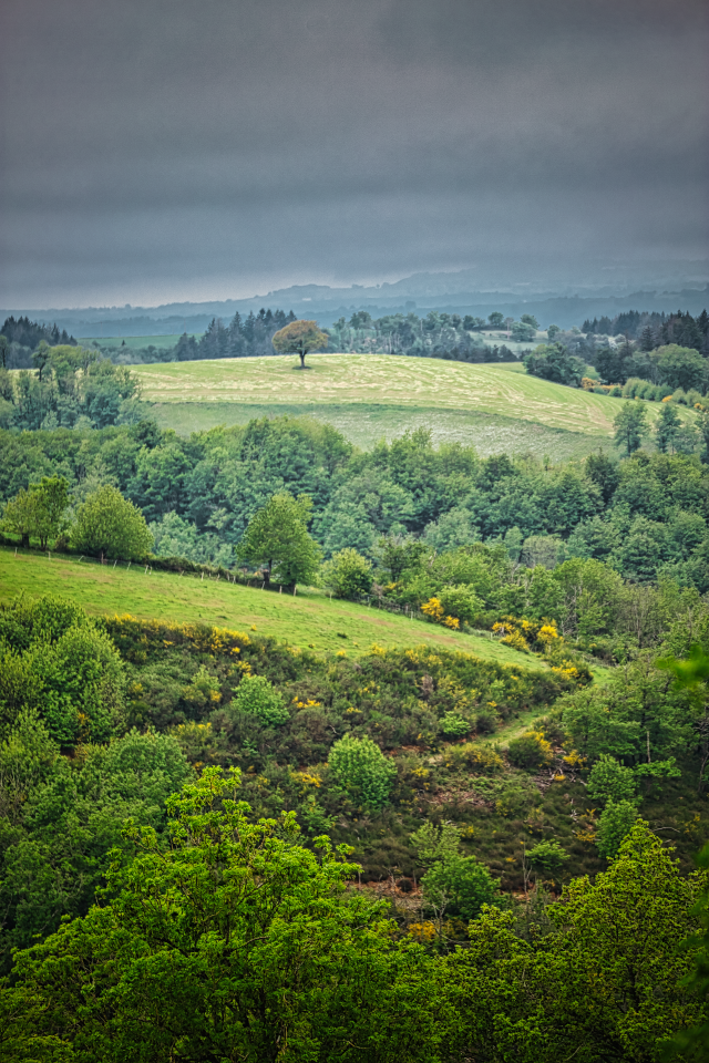 r8489_9_img_5131_route_du_bouscaillou_depuis_st_andre-3.png